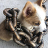 VIRAL CHAIN LEASH ⛓️🐶