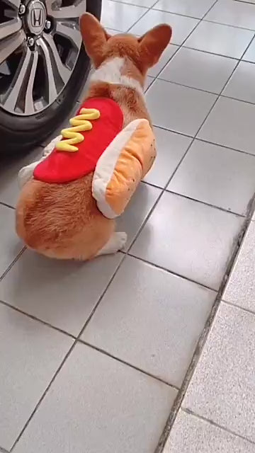 HOT DOG PREMIUM COSTUME 🌭